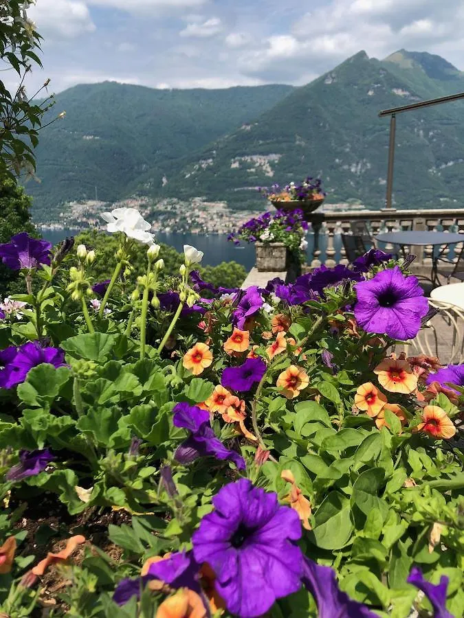 B&B Villa Le Ortensie Faggeto Lario Bed & Breakfast