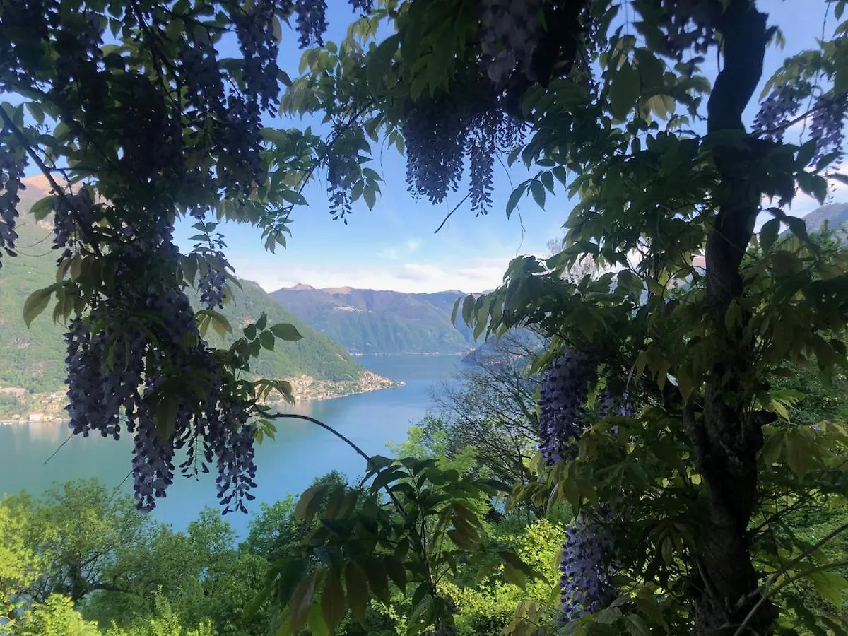 Bed & Breakfast B&B Villa Le Ortensie Faggeto Lario Italy