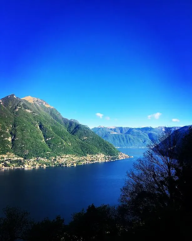 B&B Villa Le Ortensie Faggeto Lario Bed & Breakfast