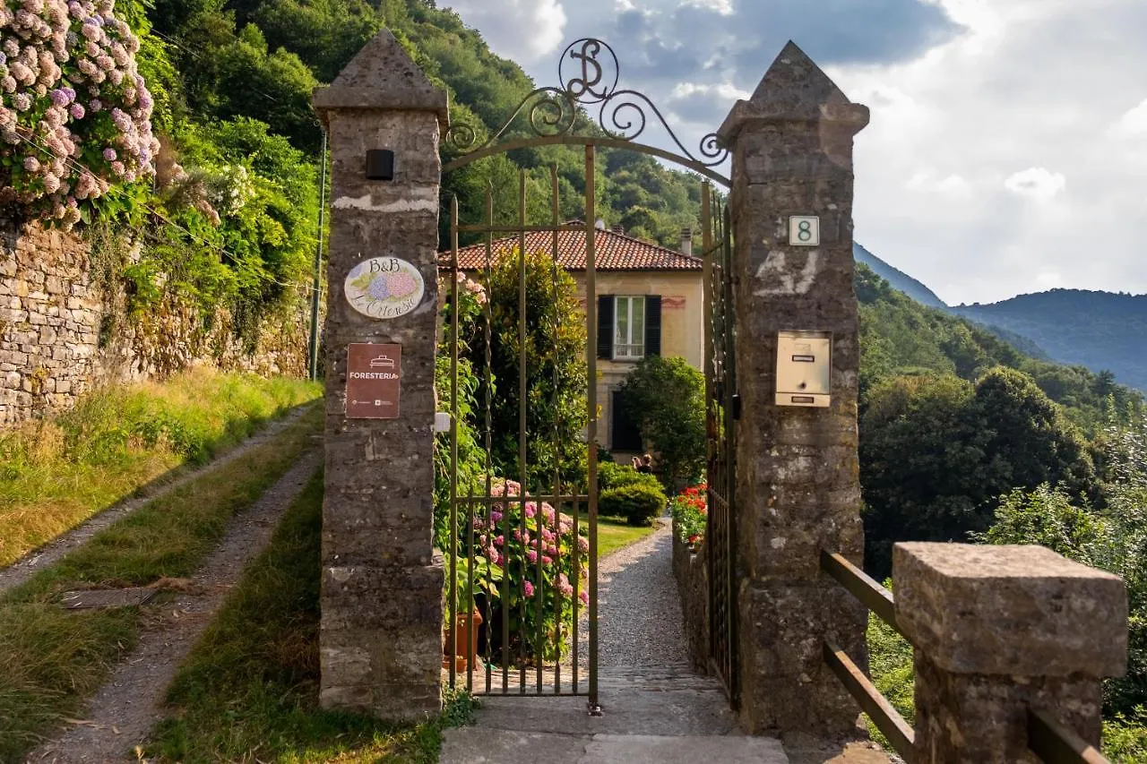 B&B Villa Le Ortensie Faggeto Lario ベッド・アンド・ブレックファスト