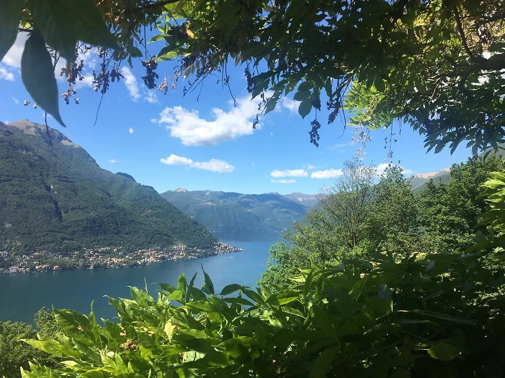 ベッド・アンド・ブレックファスト B&B Villa Le Ortensie Faggeto Lario